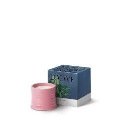 LOEWE Ivy Candle