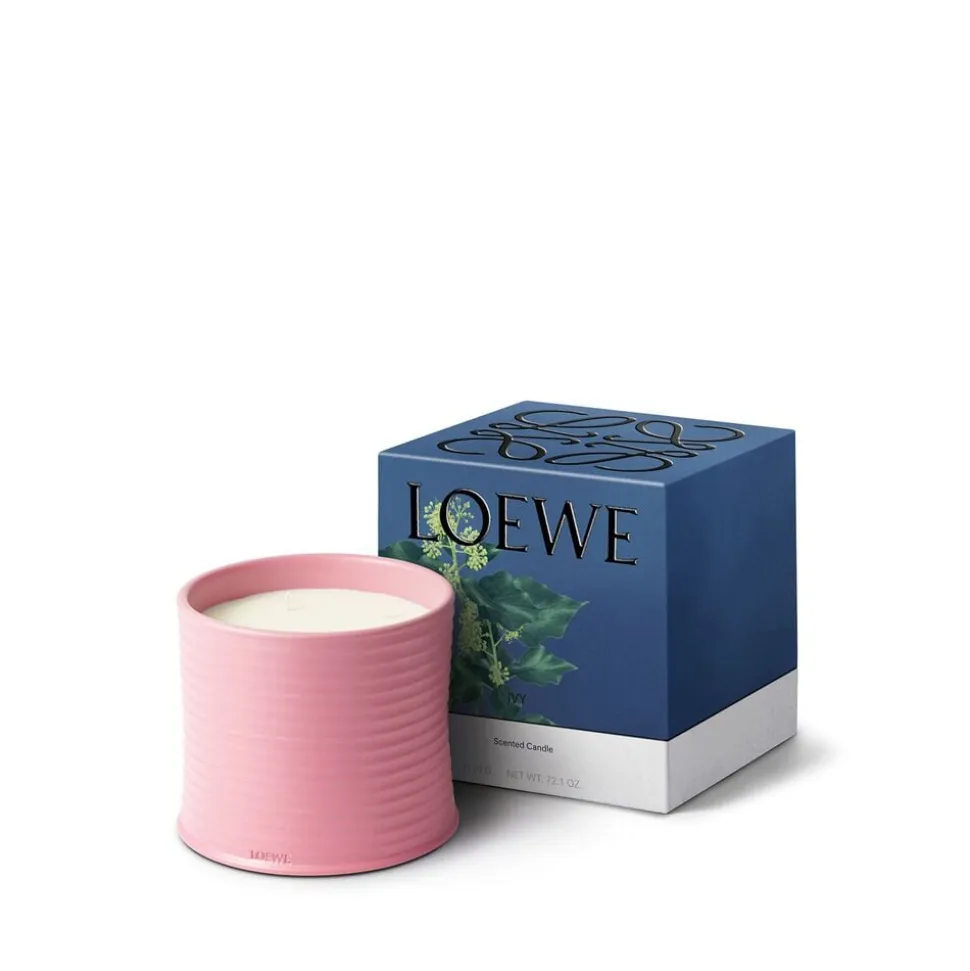 LOEWE Ivy Candle