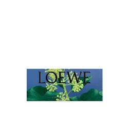 LOEWE Ivy Large Soap Bar
