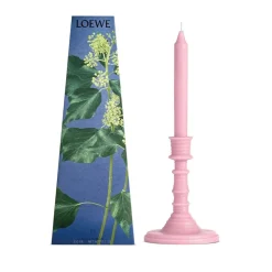 LOEWE Ivy Scented Wax Candle holder