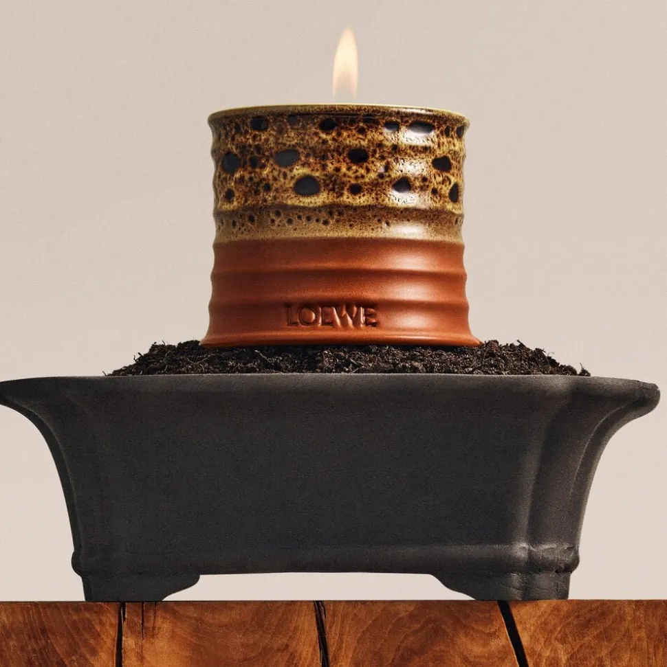 LOEWE Mimosa Candle Small