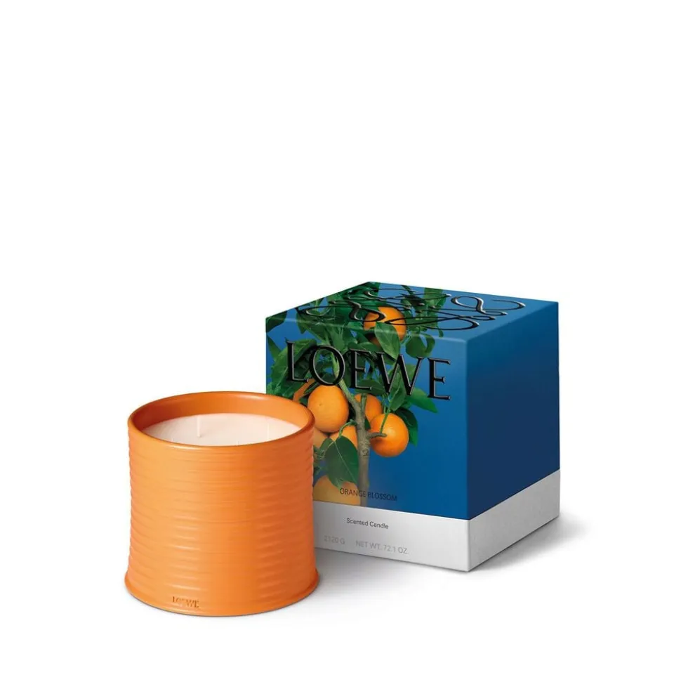 LOEWE Orange Blossom Candle