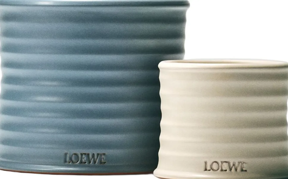 LOEWE Oregano Candle