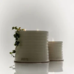 LOEWE Oregano Candle