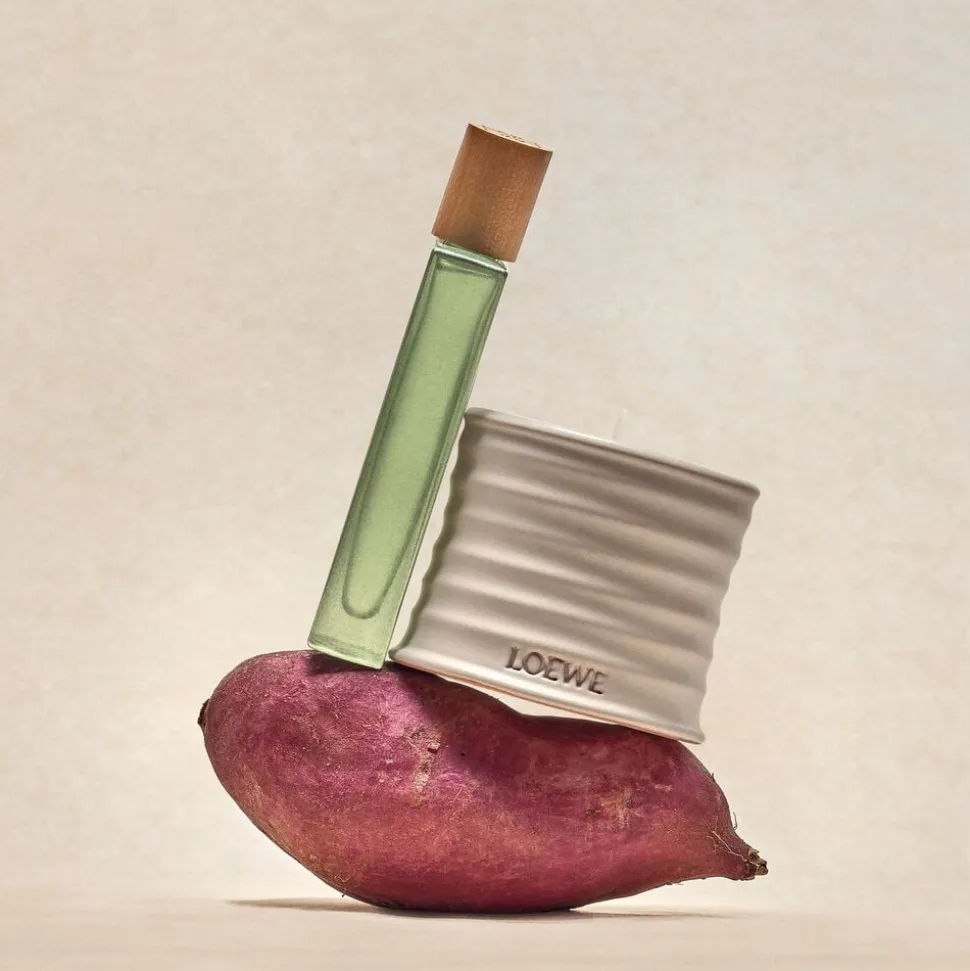 LOEWE Oregano Candle