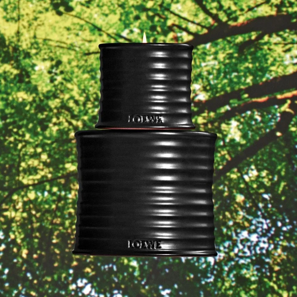 LOEWE Palo Santo Candle