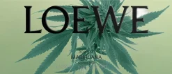 LOEWE Scent of Marihuana Large Soap Bar
