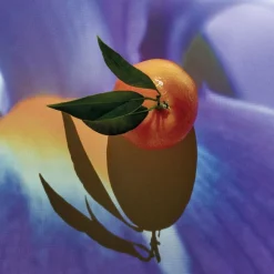 LOEWE Solo Elixir Eau de Parfum