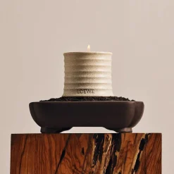 LOEWE Tuberose Candle Small