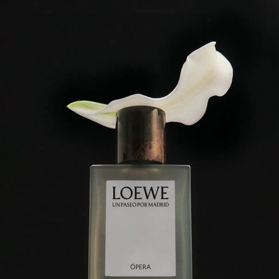 LOEWE Un Paseo por Madrid Opera Eau de Parfum 100 ml