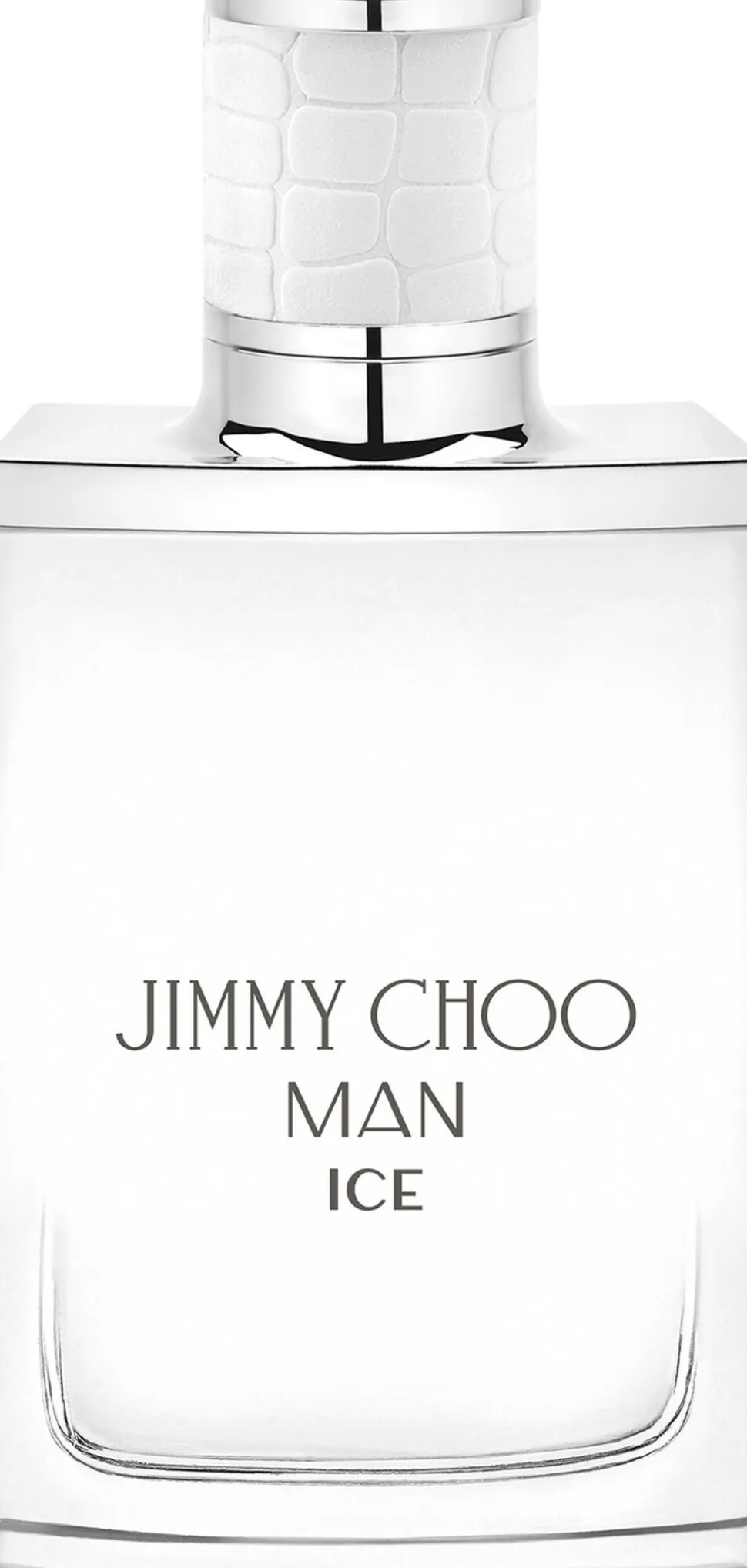 Man Ice Eau De Toilette
