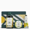 Mango Essentials