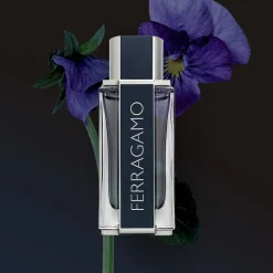 Men Eau De Toilette
