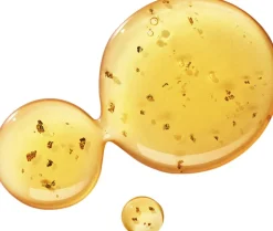 MESMERISING OUDH ACCORD & GOLD FINE LIQUID HAND WASH