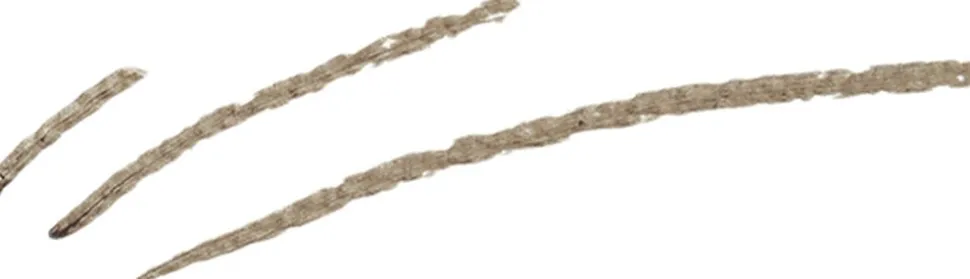 Micro Brow Pen