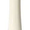 Micro Needle Roller