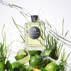 Mint & Tonic Eau de parfum unisex fragrance 100. 0 ML
