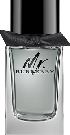 MR Burberry