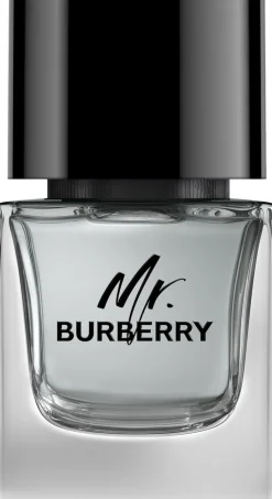 MR Burberry