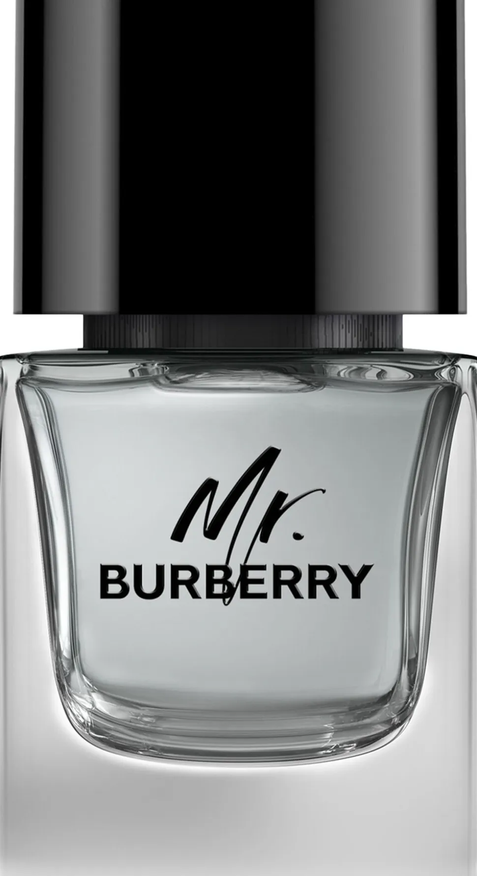 MR Burberry