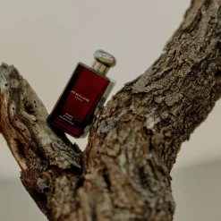 Myrrh & Tonka Cologne Intense
