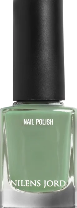 Nail Polish Mint Green