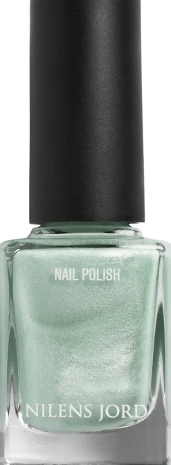 Nail Polish Northern Light