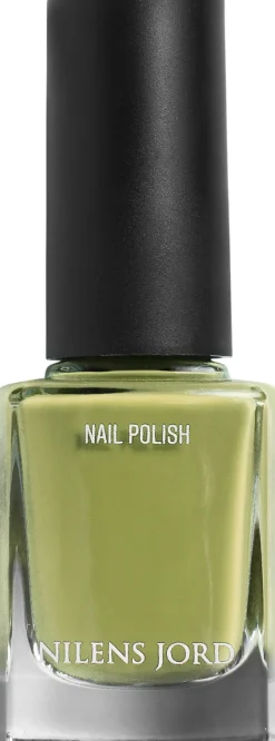 Nail Polish Pastel Green