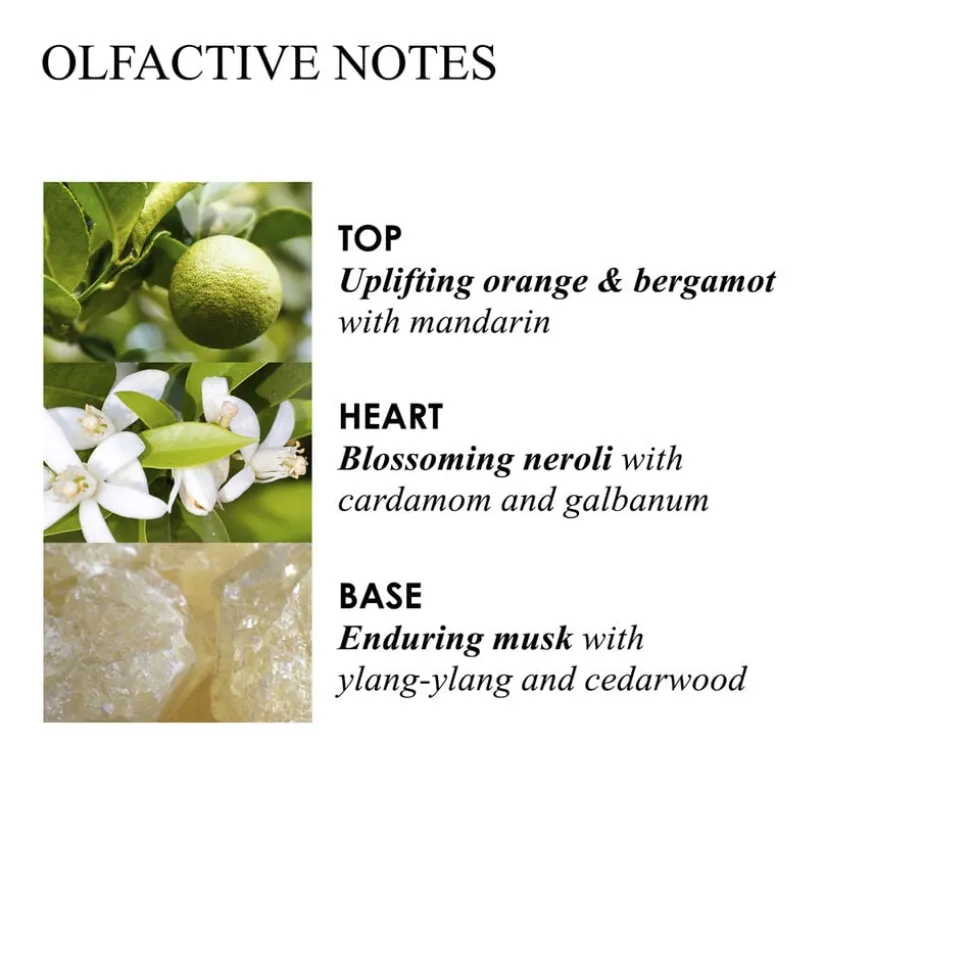Orange & Bergamot Hand Lotion
