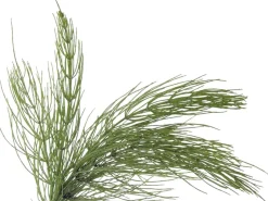 Organic Herbal Tonic