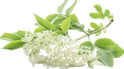 Organic Purifying Kaolin Mask 50 ml.