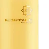OUD SAPPAROT EDP 100 ML