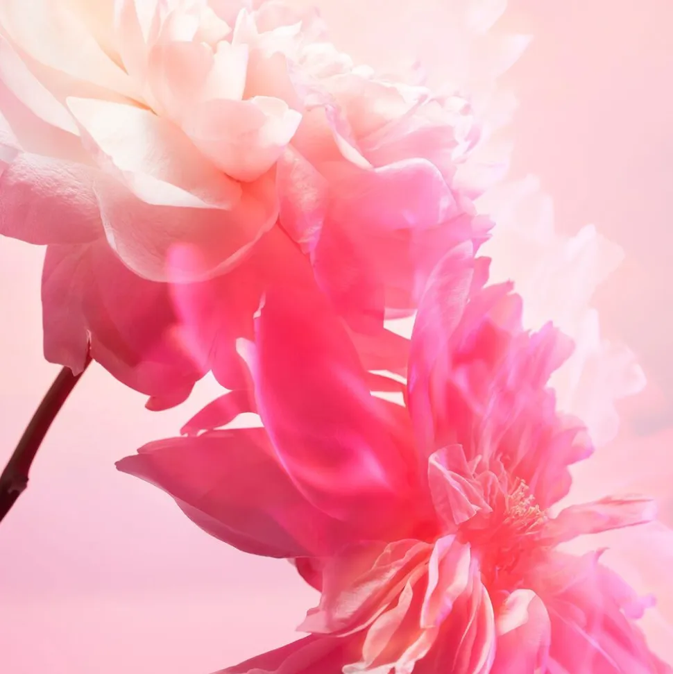 Pillow Talk Love Frequency Kit - Makeup- og parfumesæt