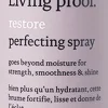 Restore Perfecting Spray 236ml