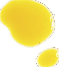 Resveratrol 3% + Ferulic Acid 3%
