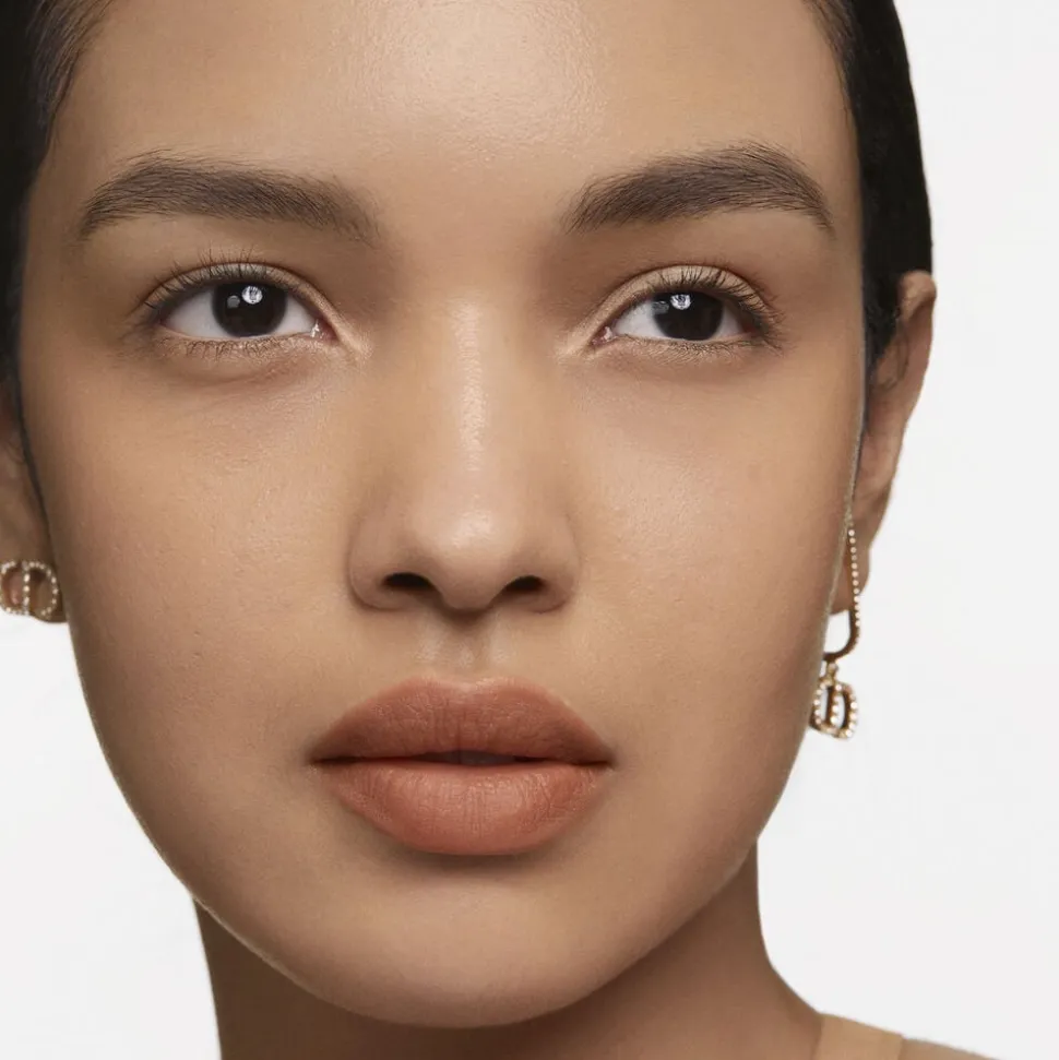 Rouge Dior Forever Transfer-Proof Lipstick