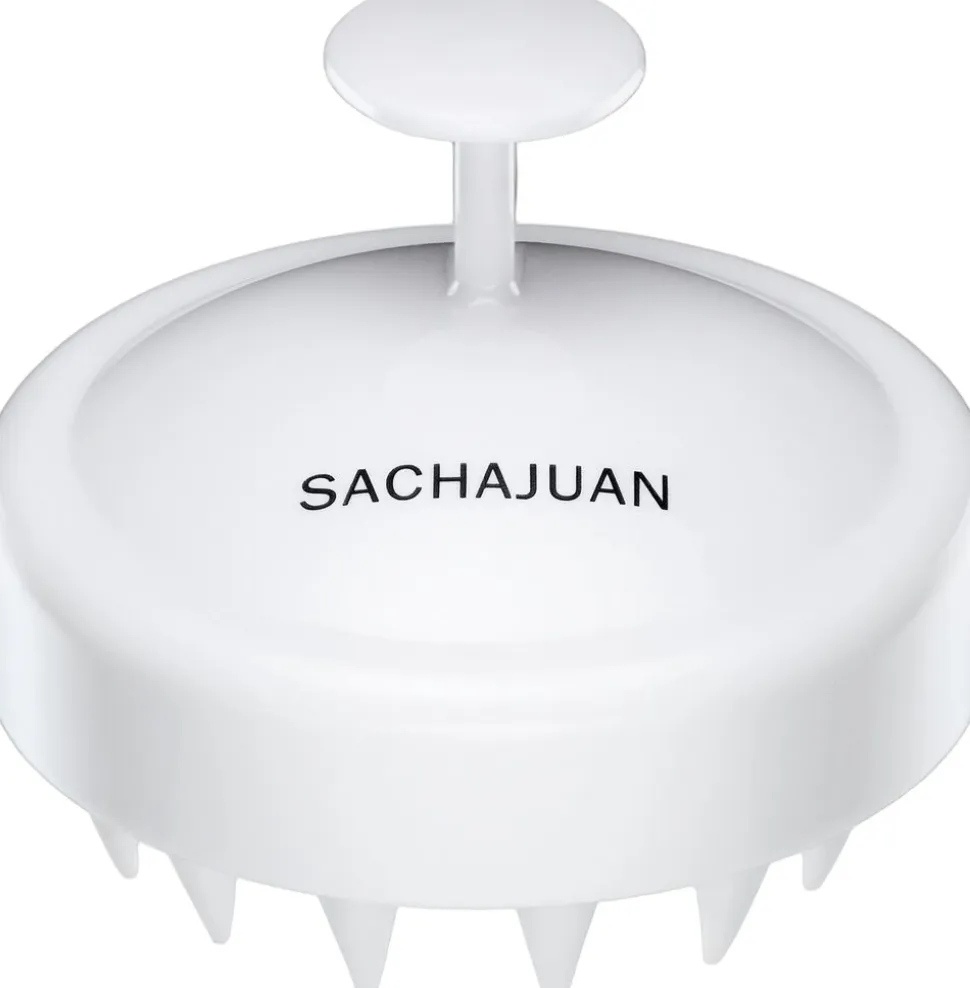 SCALP BRUSH