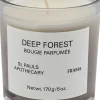 Scented Candle | Deep Forest | 170 g