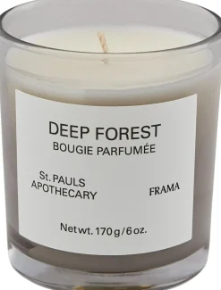 Scented Candle | Deep Forest | 170 g