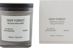 Scented Candle | Deep Forest | 170 g
