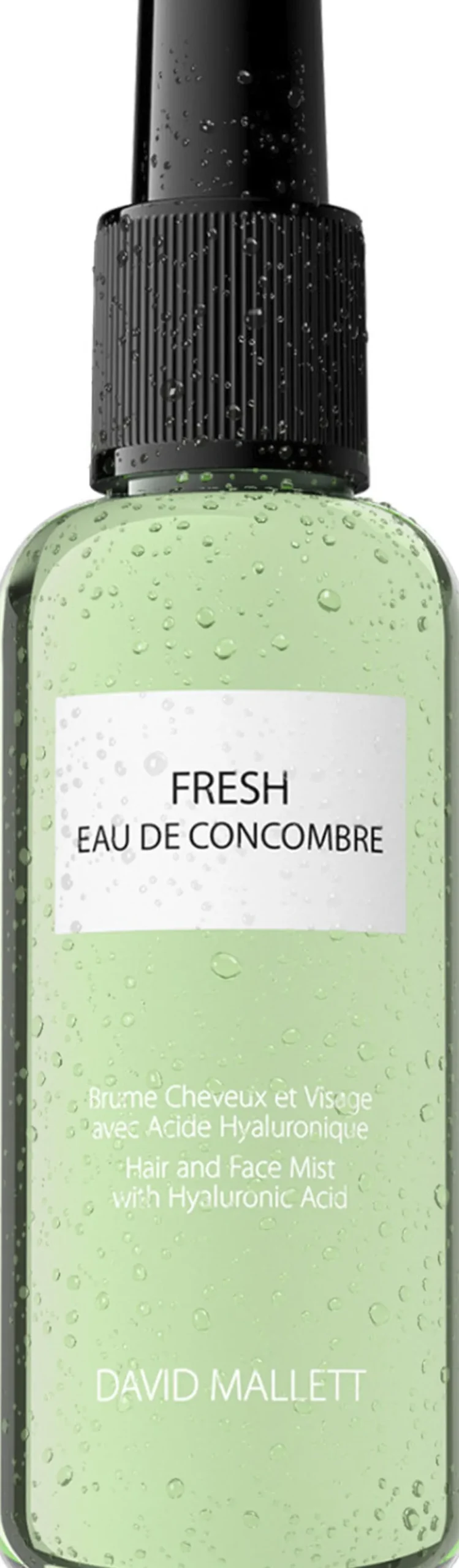 SPRAY FRESH