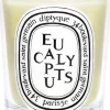 Standard candle Eucalyptus