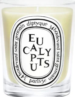 Standard candle Eucalyptus