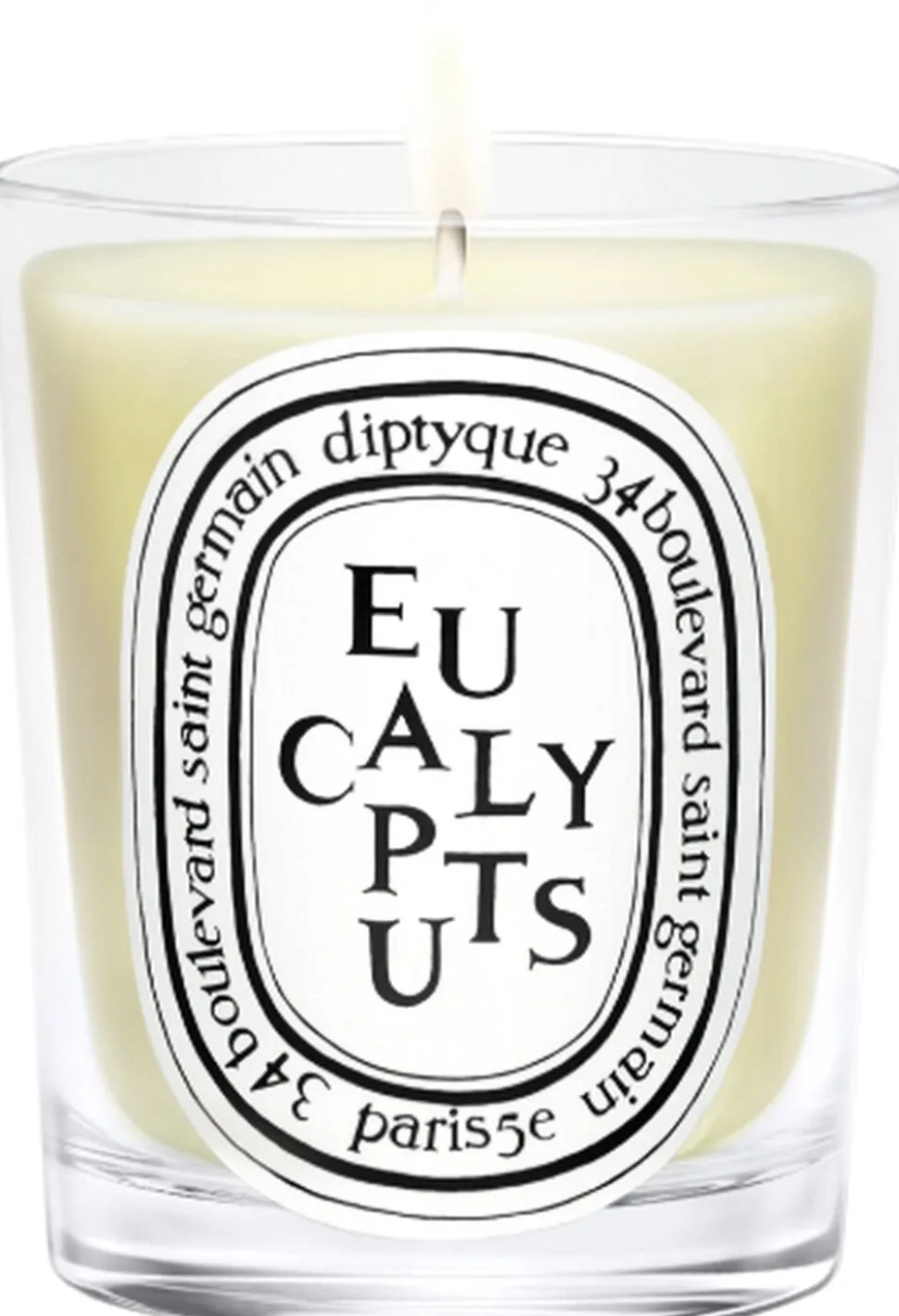 Standard candle Eucalyptus