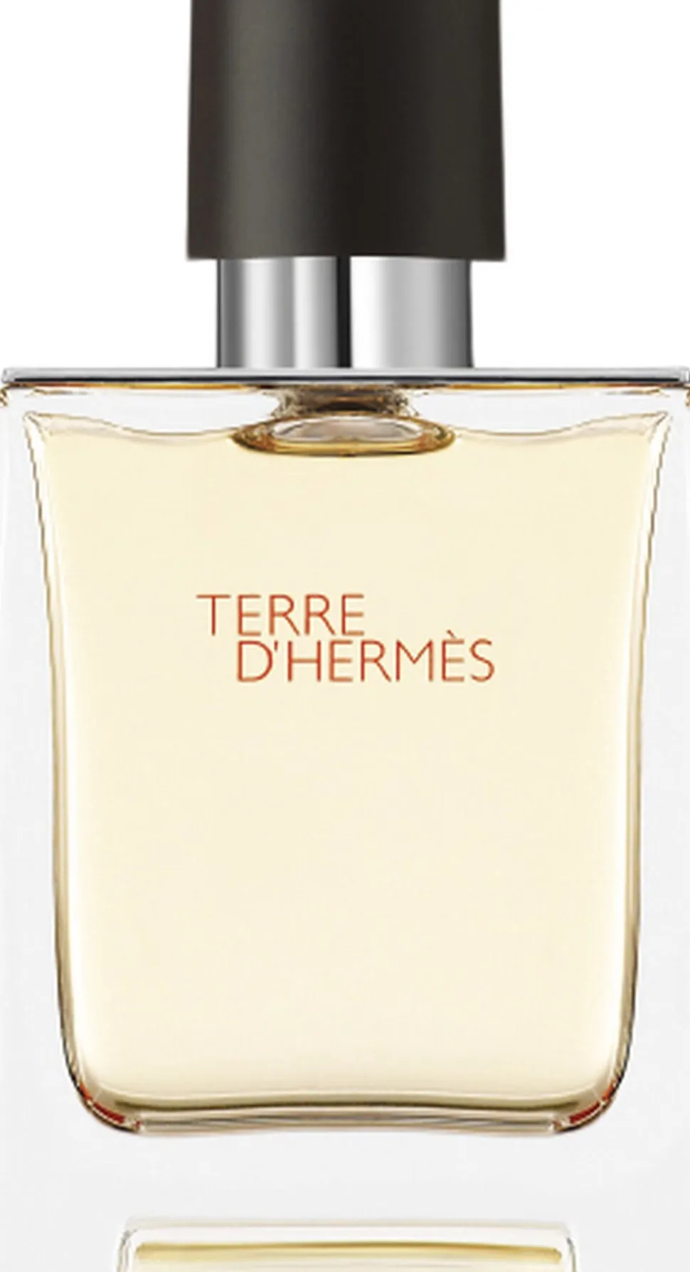 TERRE D'HERMÉS EAU DE TOILETTE