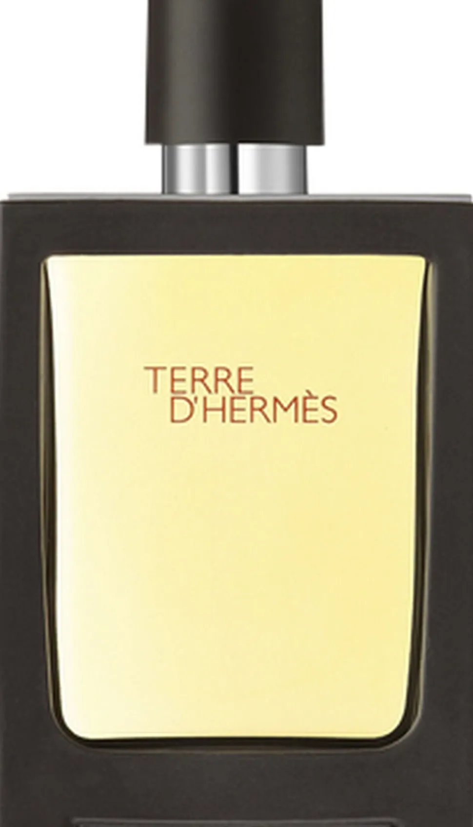 TERRE D'HERMÉS EAU DE TOILETTE