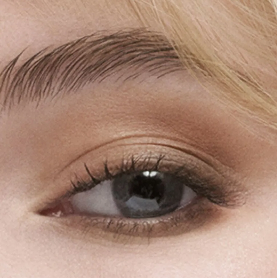 The Essential Eyeshadow Quad