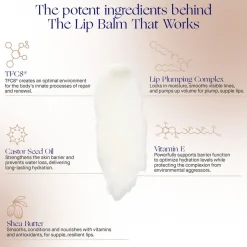 The Lip Balm