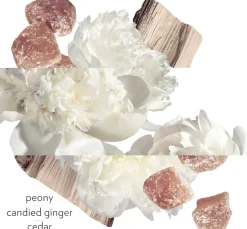 TWILLY D'HERMÈS EAU GINGER EAU DE PARFUM