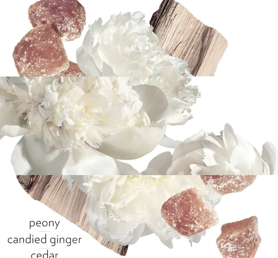 TWILLY D'HERMÈS EAU GINGER EAU DE PARFUM